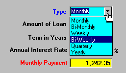 Select your Loan Period Type